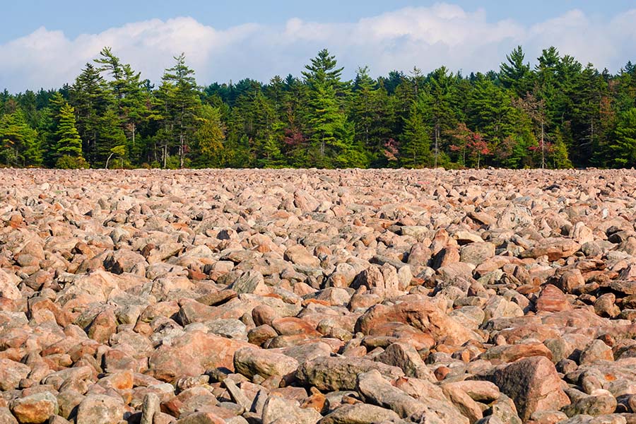 Client Center - Field of Rocks Next to Bright Green Trees in a State Park in the Poconos